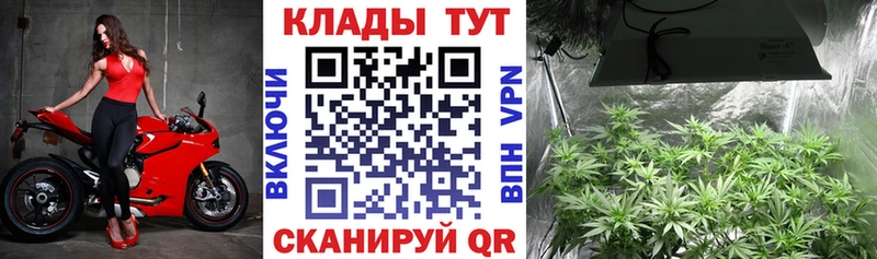 Где купить наркоту Шуя Канабис  КОКАИН  Гашиш  Псилоцибиновые грибы  Мефедрон 