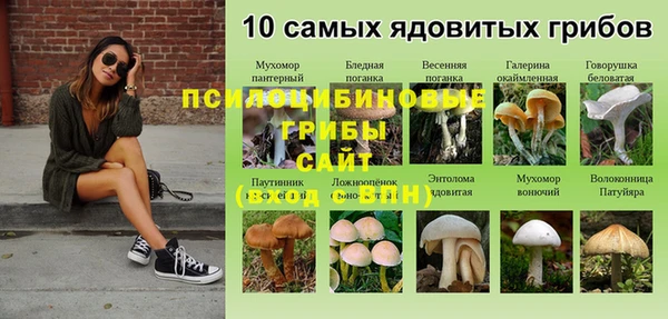 мескалин Алзамай