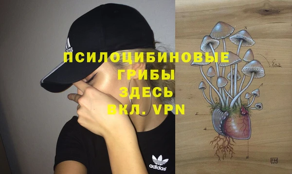 героин Алексин