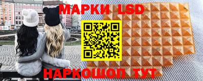 индика Жуковский
