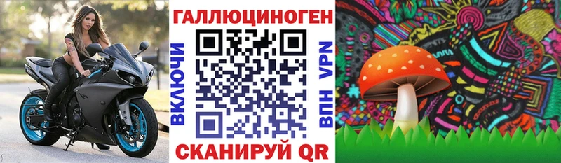 Псилоцибиновые грибы Magic Shrooms shop какой сайт Шуя