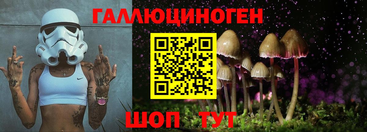 Псилоцибиновые грибы Cubensis Шуя
