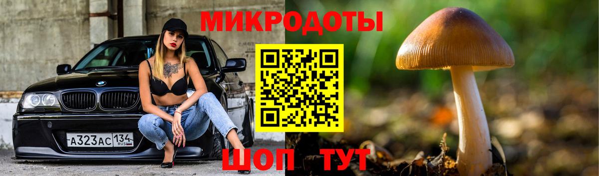 купить наркоту  Вход с VPN  Галлюциногенные грибы Cubensis  Шуя  Псилоцибиновые грибы Psilocybine cubensis 